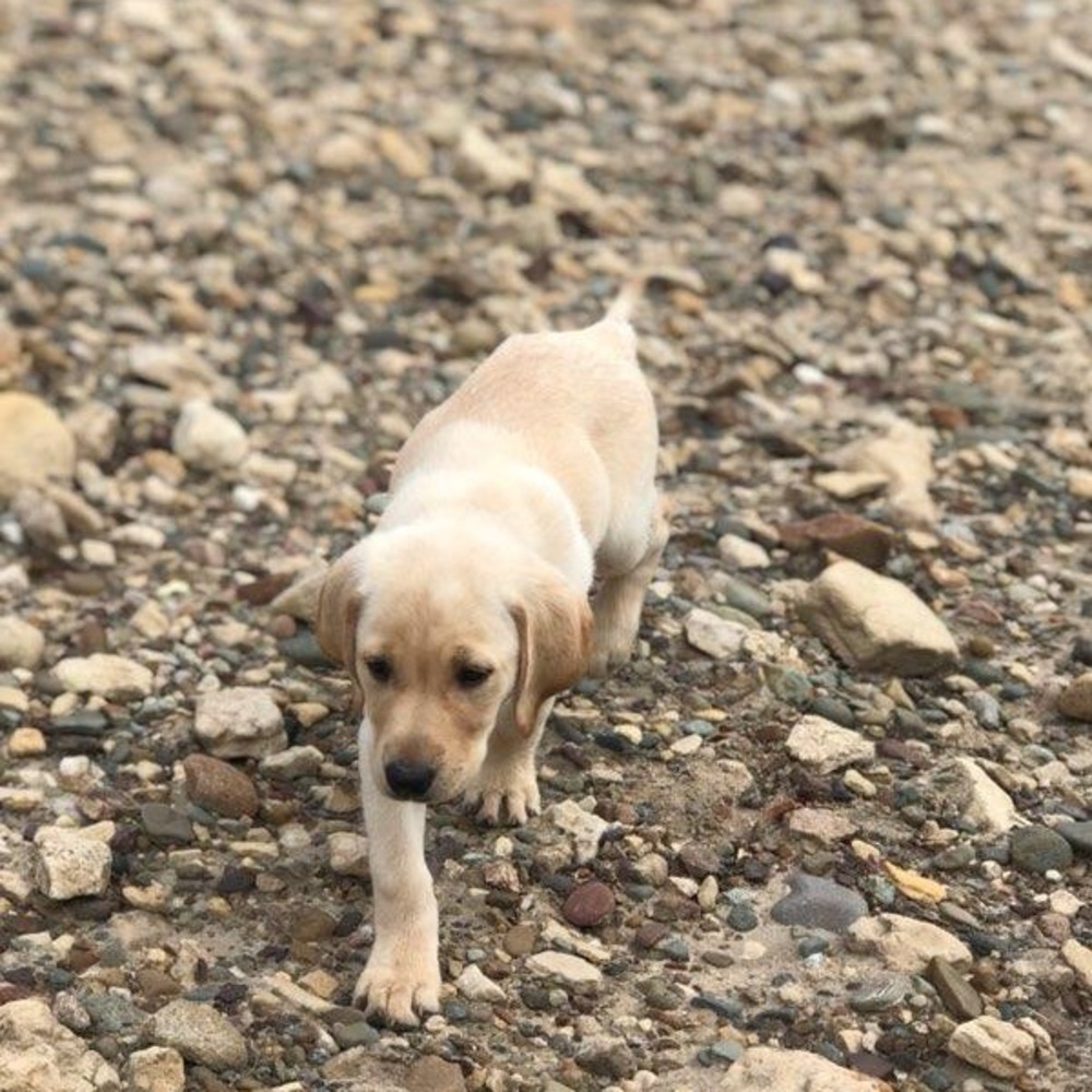 Meet your Posher, Jada